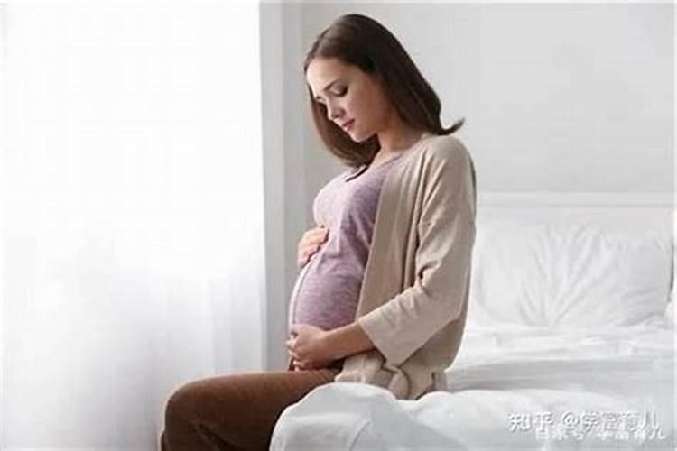 梦到老鼠是怀孕的征兆吗？