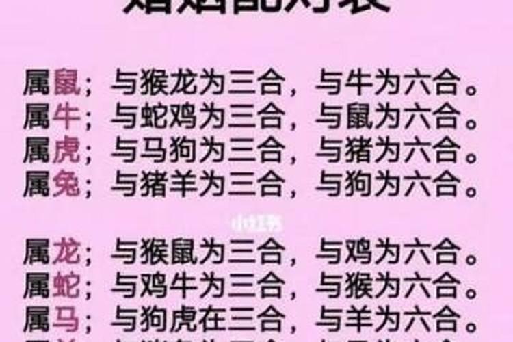 属猪的属相婚配表是怎样的？