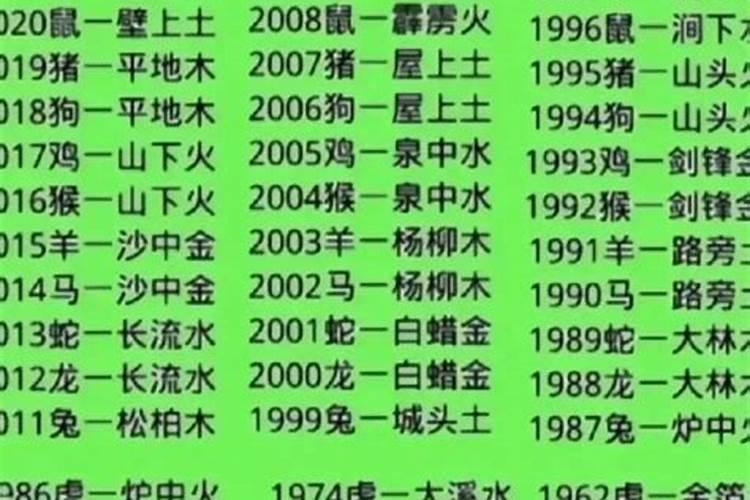 1996正月初一什么命？