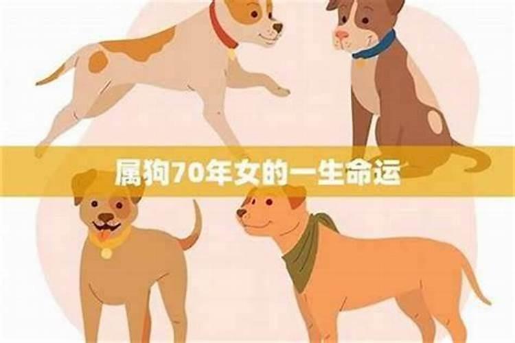 94年女狗在2026年的运势如何？