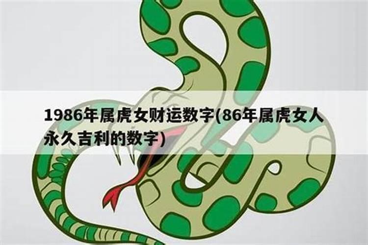 三月十五的虎女好不好？