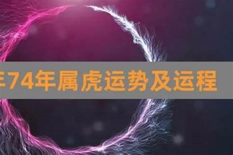 74年虎今年的运程如何？