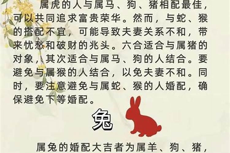 男狗女羊婚姻不顺如何化解？