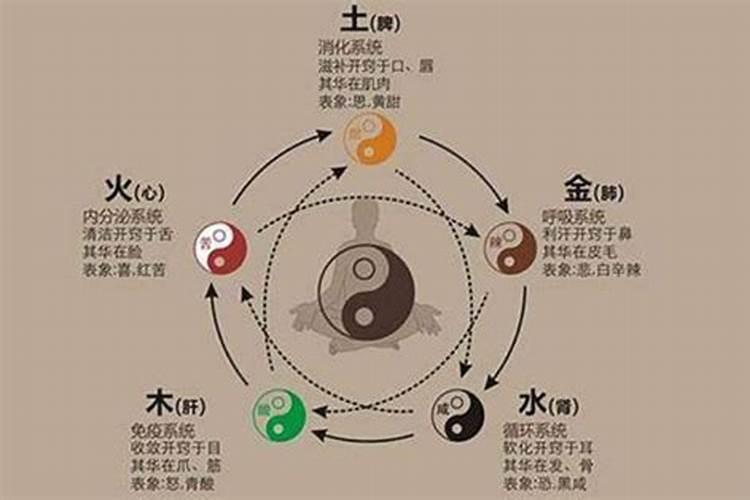 怎么测八字中的五行？
