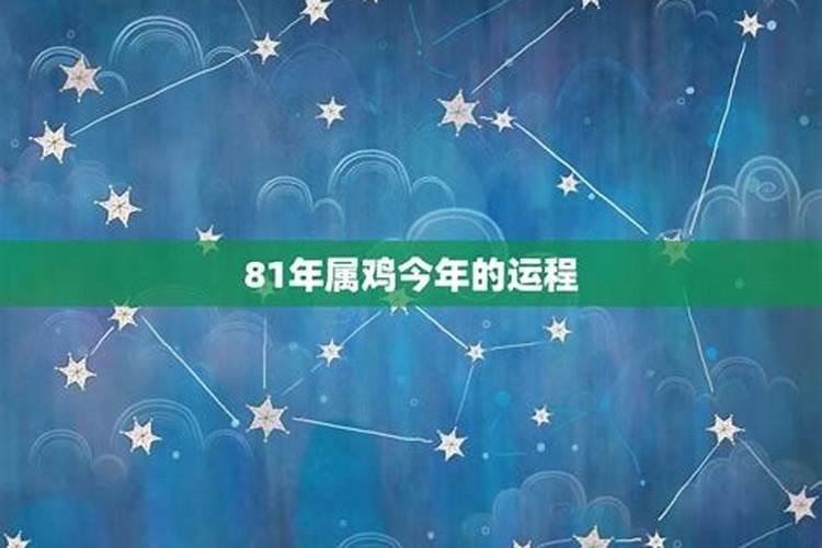 81的属鸡今年的运程