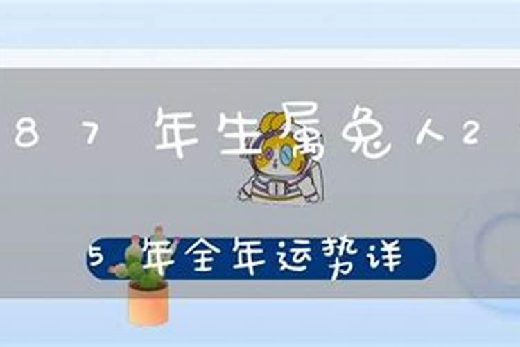 87年生属兔今年运势如何？