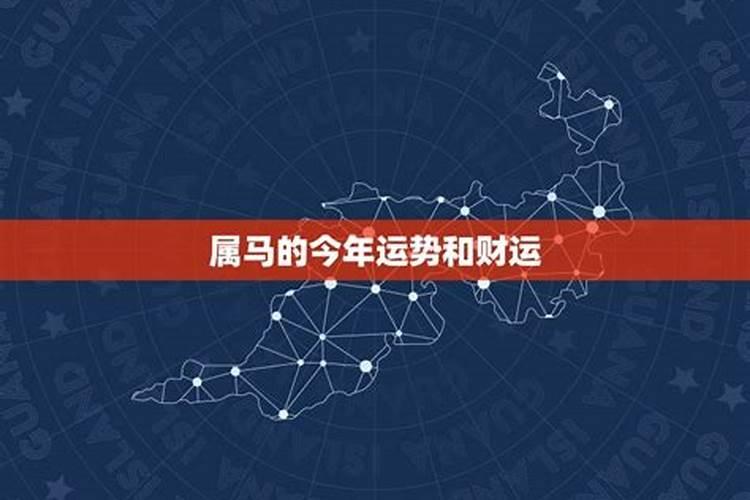 卯时属马今年运势
