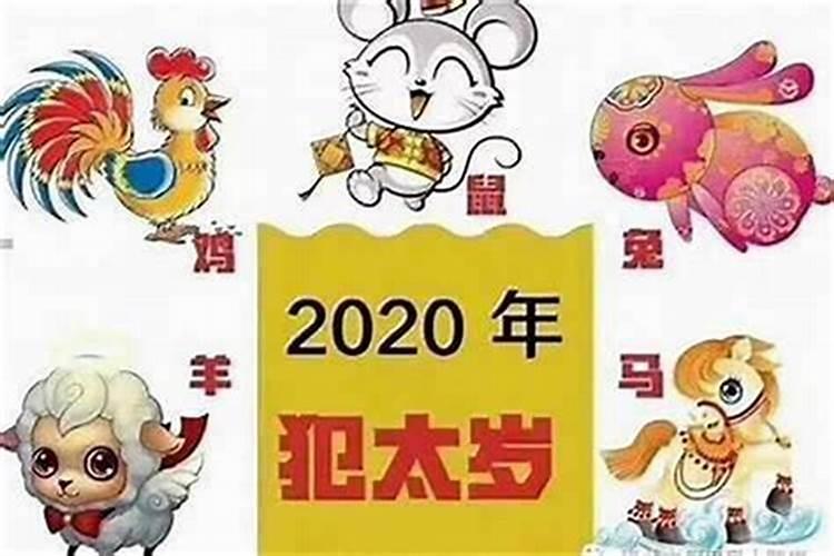 猪年破太岁是什么意思啊？