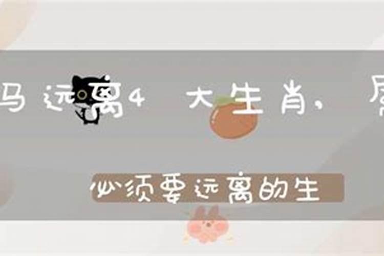 属马远离4大生肖