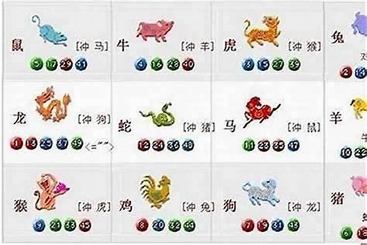 虎跟狗八字合吗？