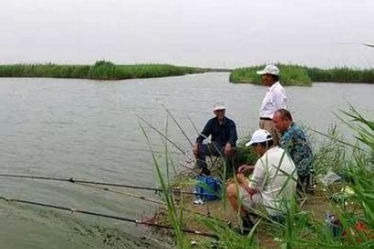 立夏钓鱼注意哪些？