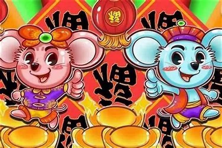 为什么今年属鼠婚姻很不顺？