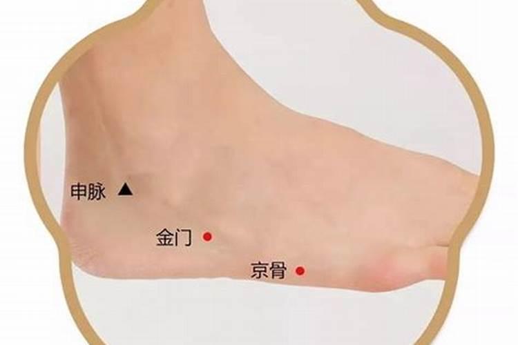 八字四个火的女人适合养什么？