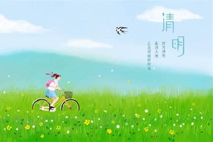 清明节必出生肖