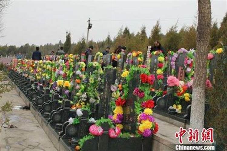 河北清明节各地习俗