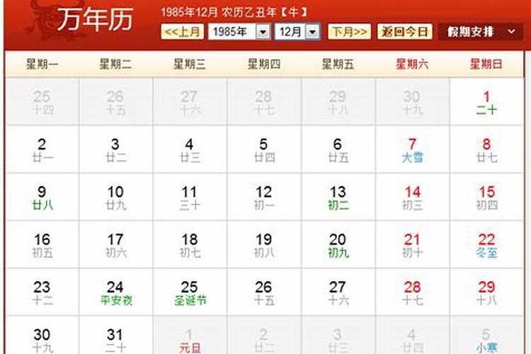 农历1985年11月15出生运程