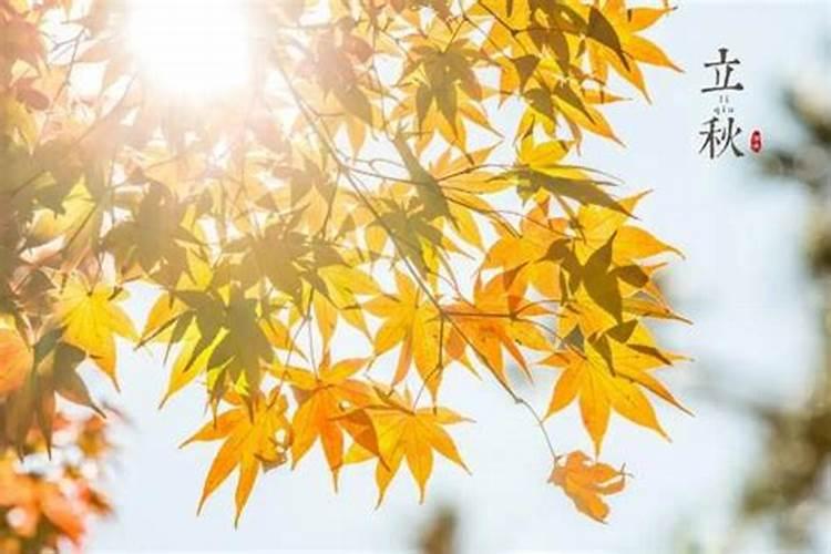 立秋时节是指哪一天？