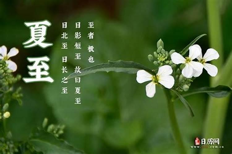 出生夏至时节的性格