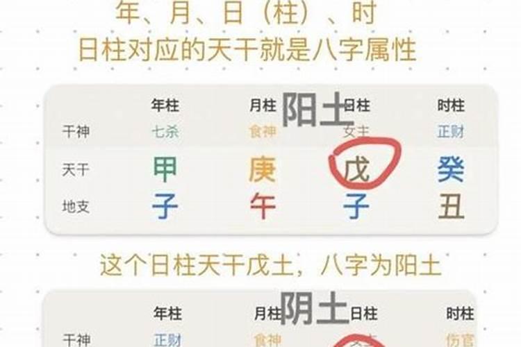 八字排盘中的比印是什么意思？