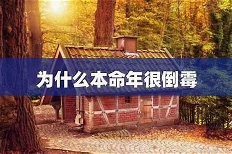 本命年运气反而特别好