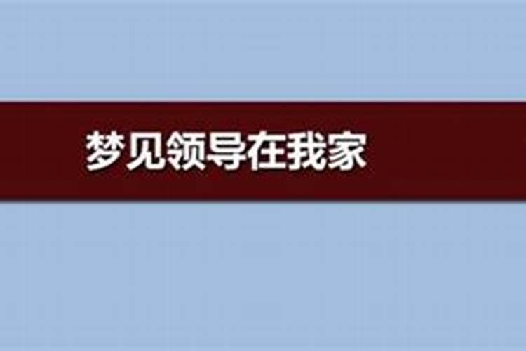 梦到原来的老板看到我很不高兴
