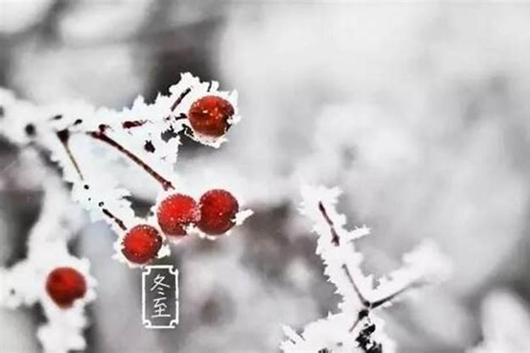 冬至节气应该注意什么？
