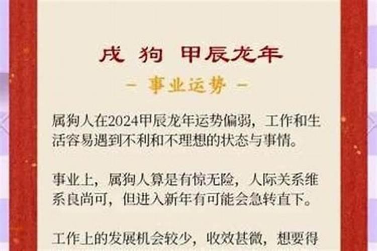 82年生的人2026年运势如何？