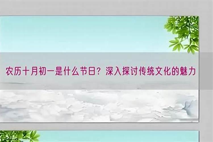 农历十月初一是什么花代表？