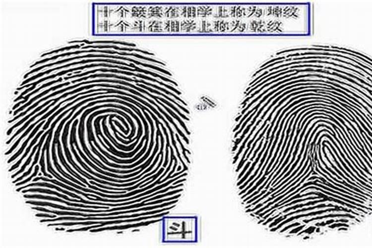 家有十个斗和十簸箕运势好吗？