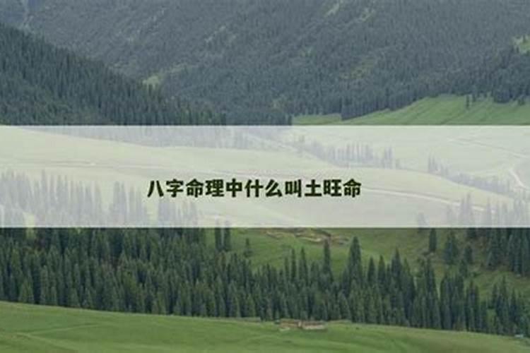 什么叫八字比较旺？