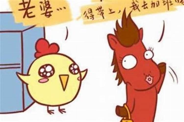 女马和男鸡属相婚配吗？