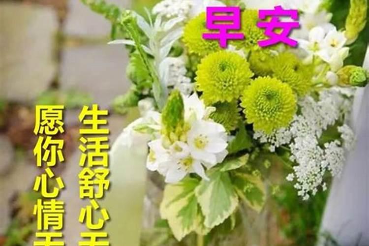 对已故家人的问候