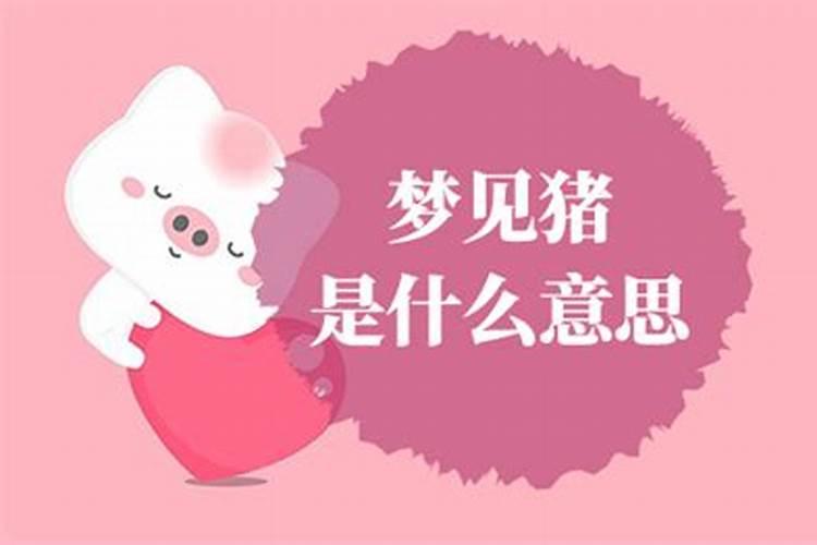 梦见猪是什么意思？