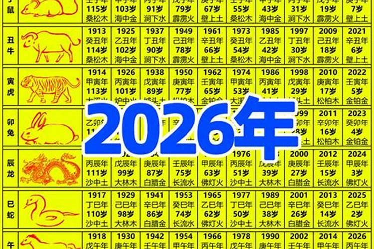 12生肖2026年运程排码表