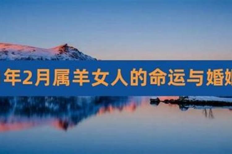1991年的羊一生的运程