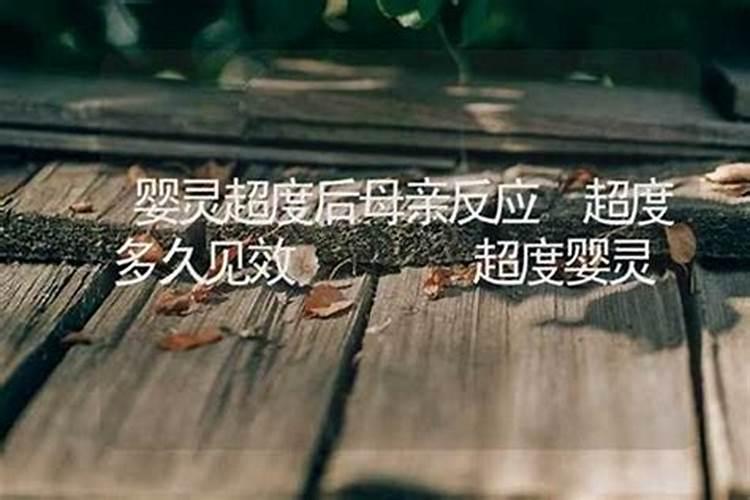 婴灵多少天之内超度？