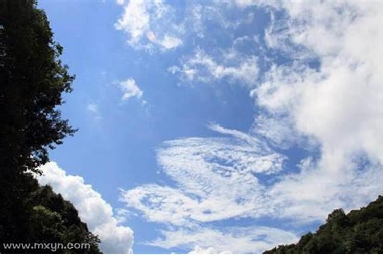 梦见天空龙什么意思周公解梦？