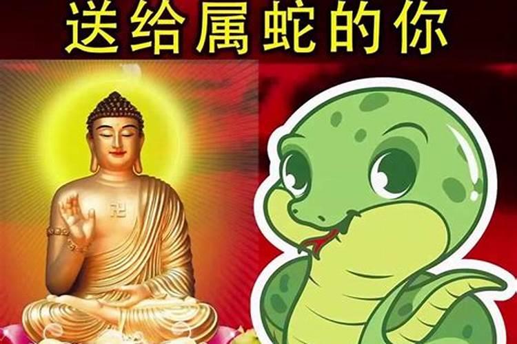 属蛇男一生感情运势