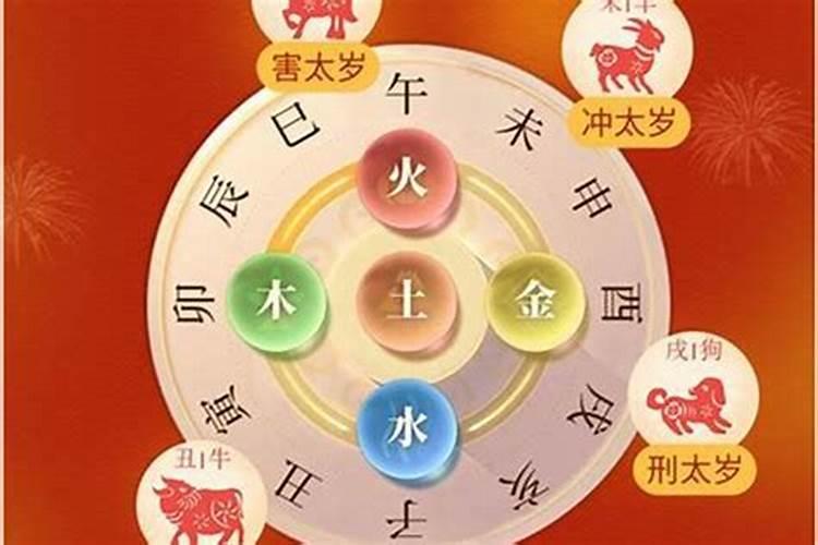 属羊鼠年犯太岁怎么办？