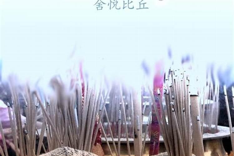 鬼节草哪里有？