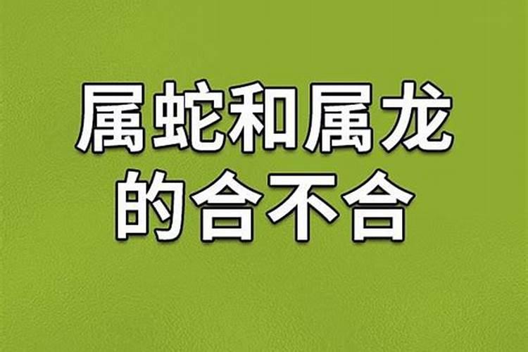 算命姻缘女龙合男蛇可以吗？