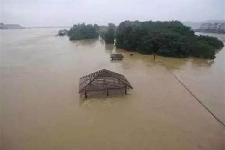 梦见大水淹没了房屋