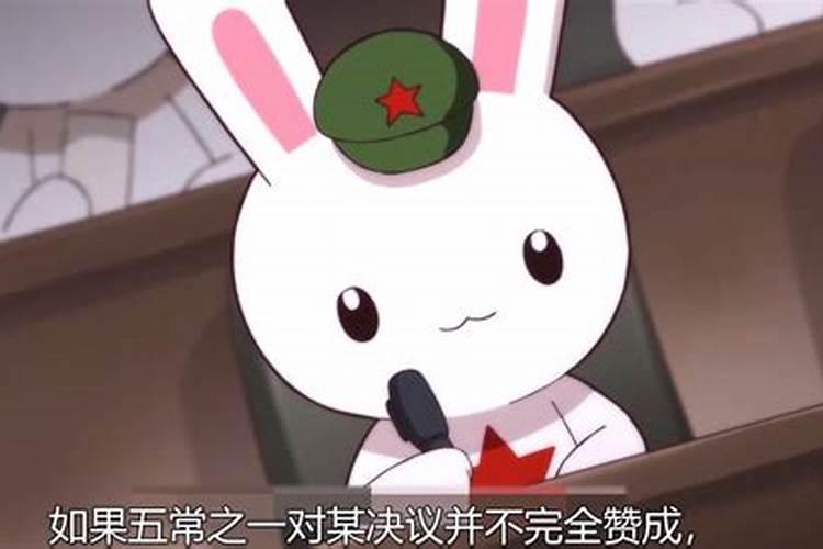 兔子破财吗？
