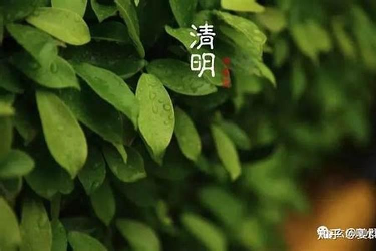 清明祭扫时间有啥讲究？