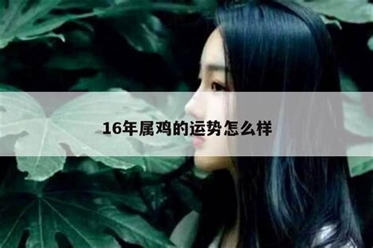 一九九五年七月初九出生的运势