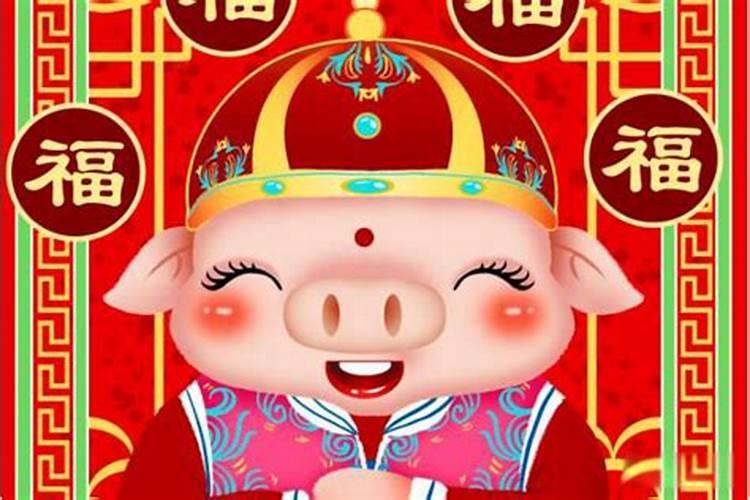 95年的猪是什么命？