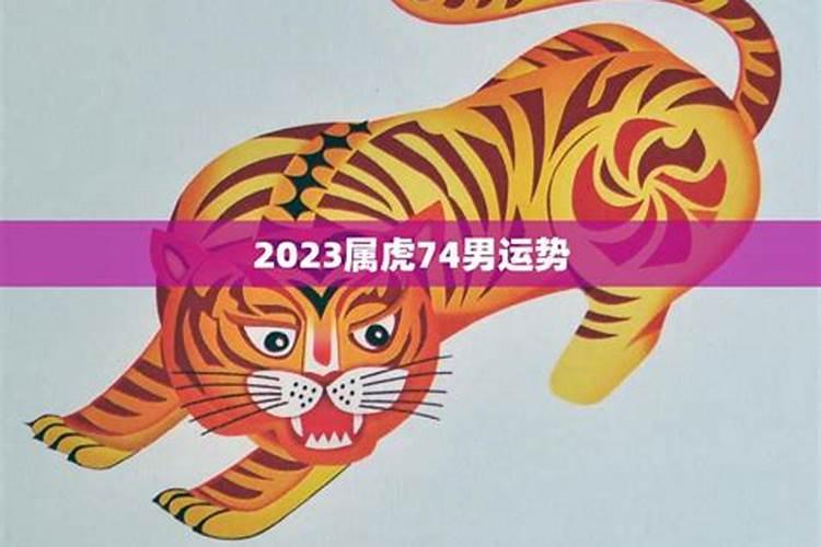 74年属虎的男士今年运势