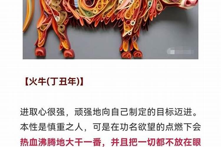 八字算命属牛今年运势