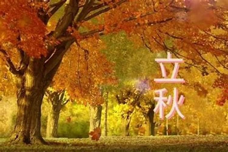 什么时候入伏几点立秋？