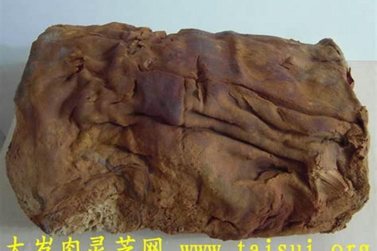 太岁一般在哪生长？